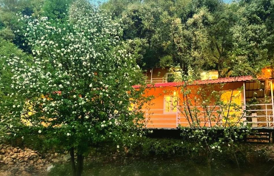 Aaroham Resort, 심라 외부 사진